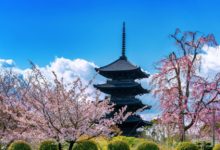 Traditional Japanese temple surrounded by cherry blossoms in Kyoto